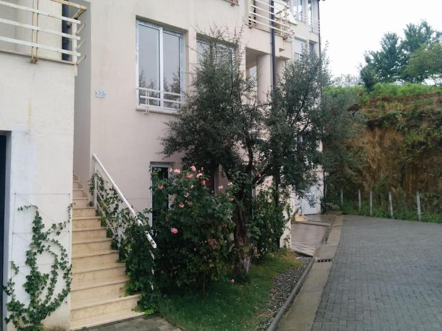 טיראנה Exclusive Apartment מראה חיצוני תמונה