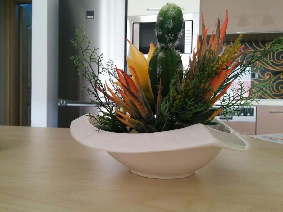 טיראנה Exclusive Apartment מראה חיצוני תמונה